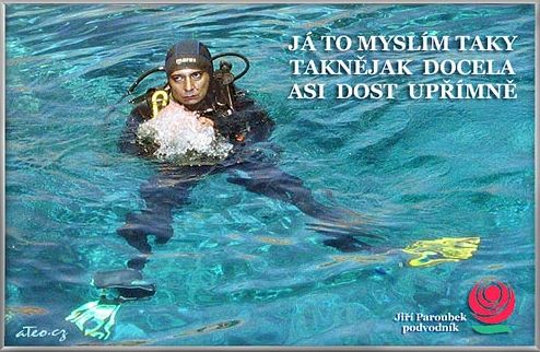Ji Paroubek podvodnk