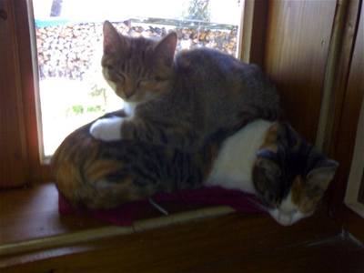 Čita a Mia na okně