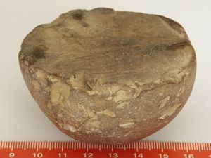 kamenn polokoule (artefakt)