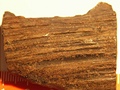 mineralizované devo s rytinou - zadní strana