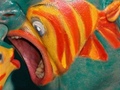 Fish faces 4