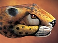 handpainting - gepard