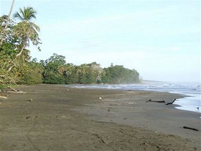 Hedu - Kostarika - Cahuita ern pl