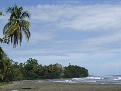 Hedu - Kostarika - Cahuita 1