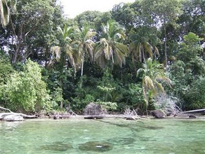 Hedu - Kostarika - Cahuita 2