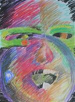 Vidouc� 2007 cover