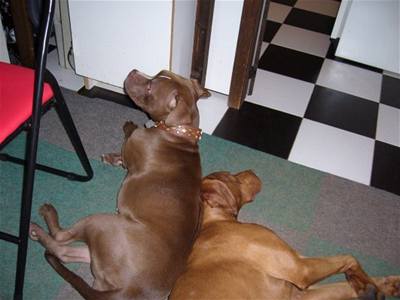 Kola��kov� - Abbie a E�us 1