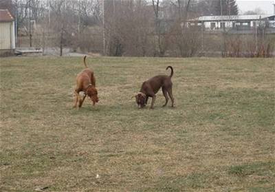 Ka�er - Abbie a E�us 1