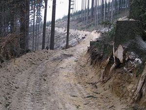 Palkovick� stezka 4