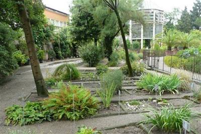 Buben��kov� - V�let do It�lie 1