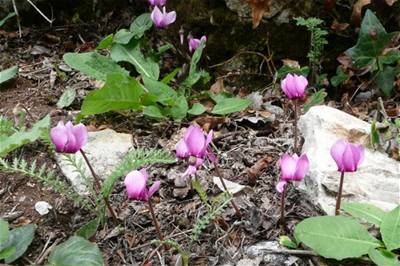 Buben��kov� - V�let do It�lie 3