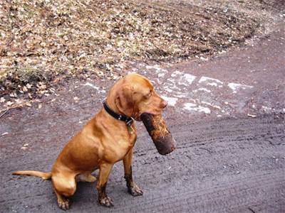 Kolakov - Eus na horch 3