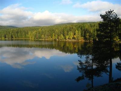 Dede - Norsko - září u jezera 1