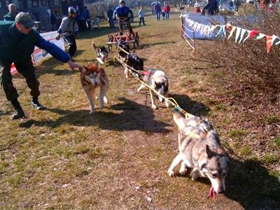 Mackov� - z�vody v Cakov�