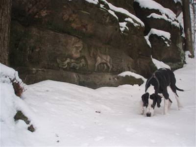 Xerxov� - Beta v �esk�m R�ji 2