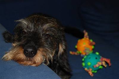 Flori�nov� - B��a zamy�len� 