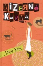 Mizern karma David Safier