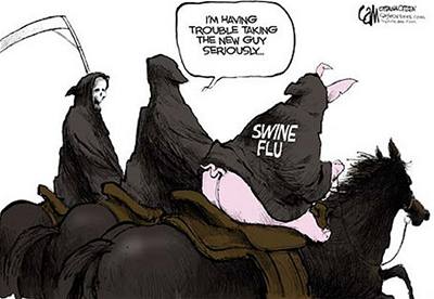 Swine flu 