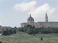 Loreto se sady olivovník okolo