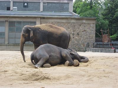 Zoo Liberec 1