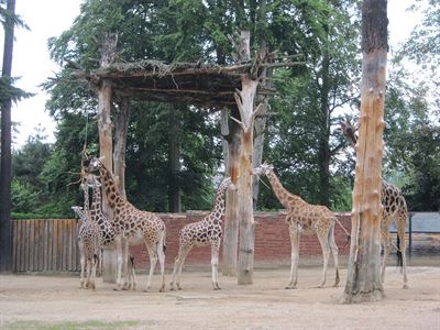 Zoo Liberec 4