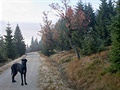 1 - pohodová podzimní procházka uprosted Jizerek
