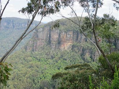 Blue Mountains 1