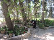 Zjevn� tajemstv� 10