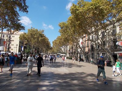 Rambla 8