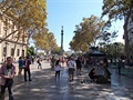 Rambla 6