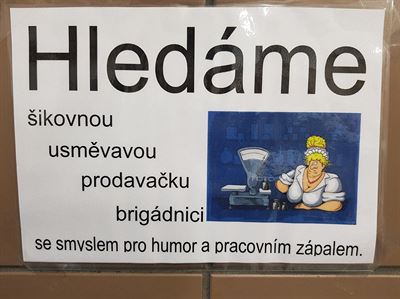 hledame