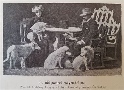 Z knihy Vecky druhy ps, autor Vclav Fuchs, Praha 1903