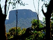 Hora The Castle od příjezdové cesty. Národní park Budawangs, Austrálie