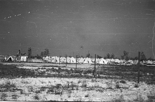 Mamaia 1956, tábor ČSM