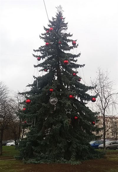 Na rozdl od nkterch jinch, hojn vysmvanch na socilnch stch, nae...