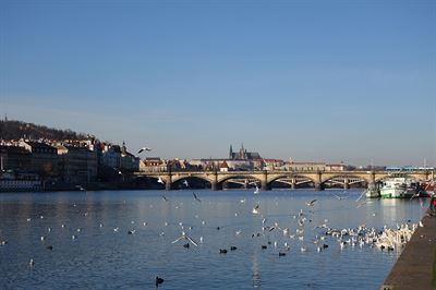Prosinec 2019, Hrad�any, Praha