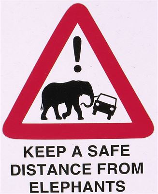 Pozor na slony