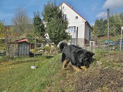 Aknek dv prchod sv myi-hrabac vni.