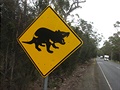 Dopravní znaka: Pozor na tasmánské erty!