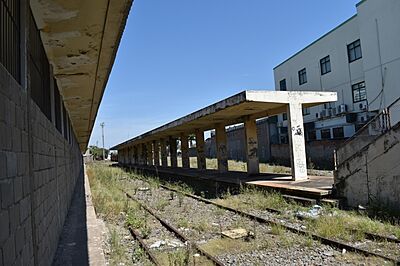 Campos dos Goytacazes 10