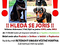 Hledá se Joris