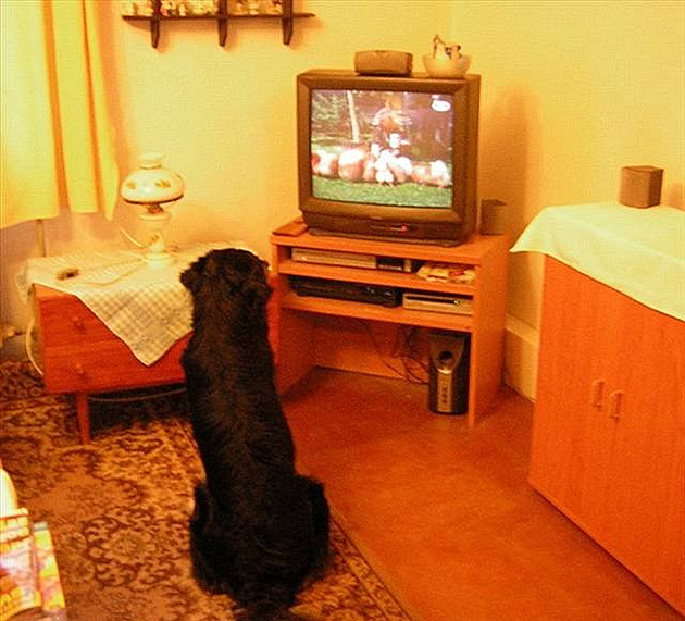 Benny u televize