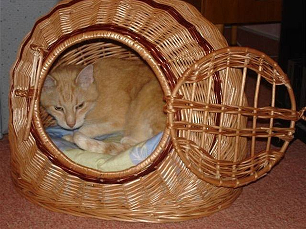 Kocourová Adél a kuka 1