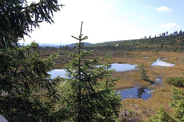 Emteska - Jizerky po islandsku 4