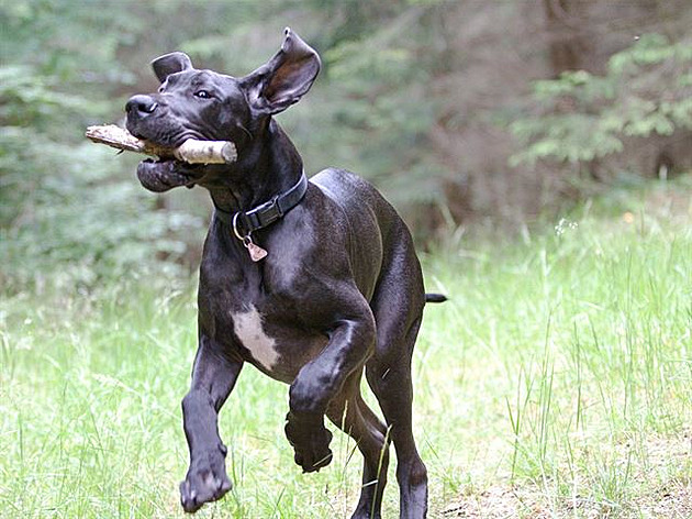 Night s klackem v hub�