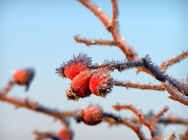 Zimní procházka, prosinec 2014