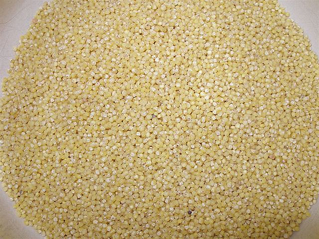 2. Takto jáhly vypadají