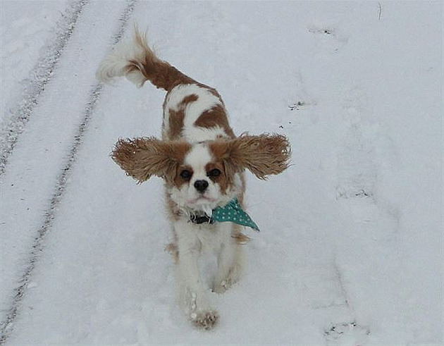 Sv�tlu�ka u�atá