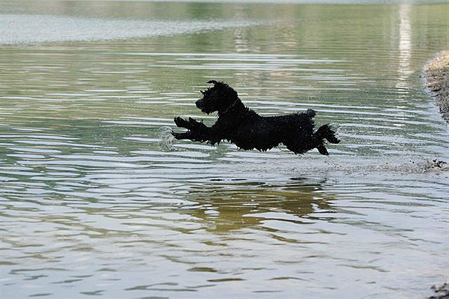 Kerry u vody, léto 2014