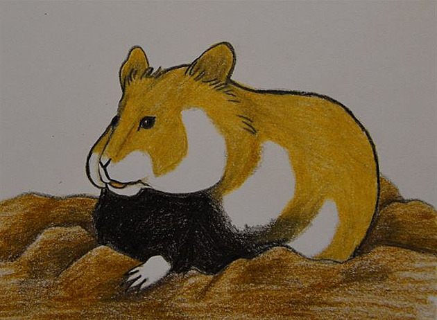 U� jsem velký dosp�lý k�e�ek.